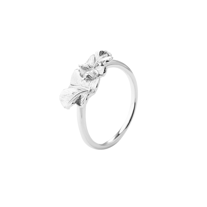 Aqua Dulce Folio Sølv Ring – 6191-001