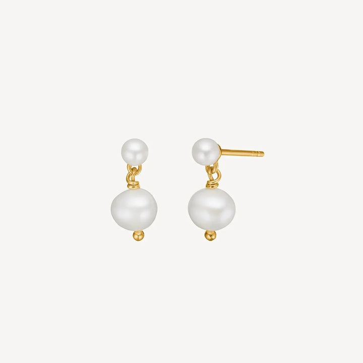 Carré Sally Forgyldte Ørestikker m. ferskvandsperler – FS4582BI-BI