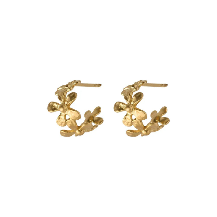 Pernille corydon Wild Poppy Hoops - Forgyldt – E-368-GP