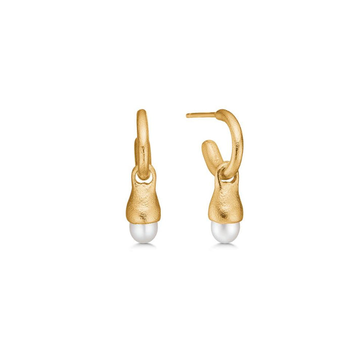 Studio Z Forgyldt Acorn Creol Med Perle – 7213873