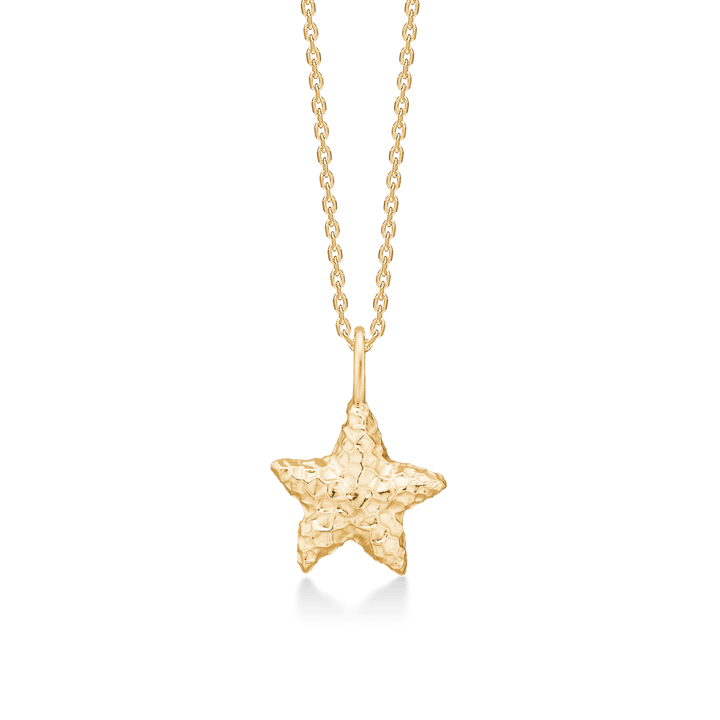 Studio Z Starfish Lustre Forgyldt Søstjerne Halskæde – 7220903