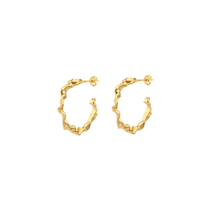 Vincent Shaman Forgyldte Hoops Øreringe 25mm – produktbillede 2