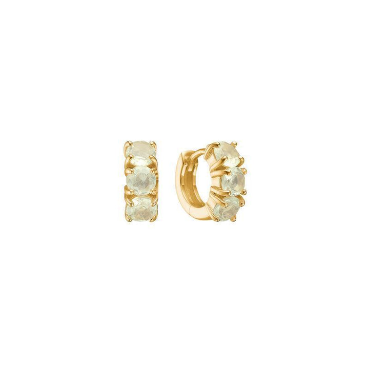 Carré Hoops med Lemon Kvarts - FH4373LQ – FH4373LQ